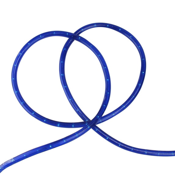100' Blue Christmas Rope Lights