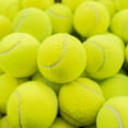 Bulk Buy 100 Durable Tennis Balls for Dogs, Fun Chew Toys with Bouncy