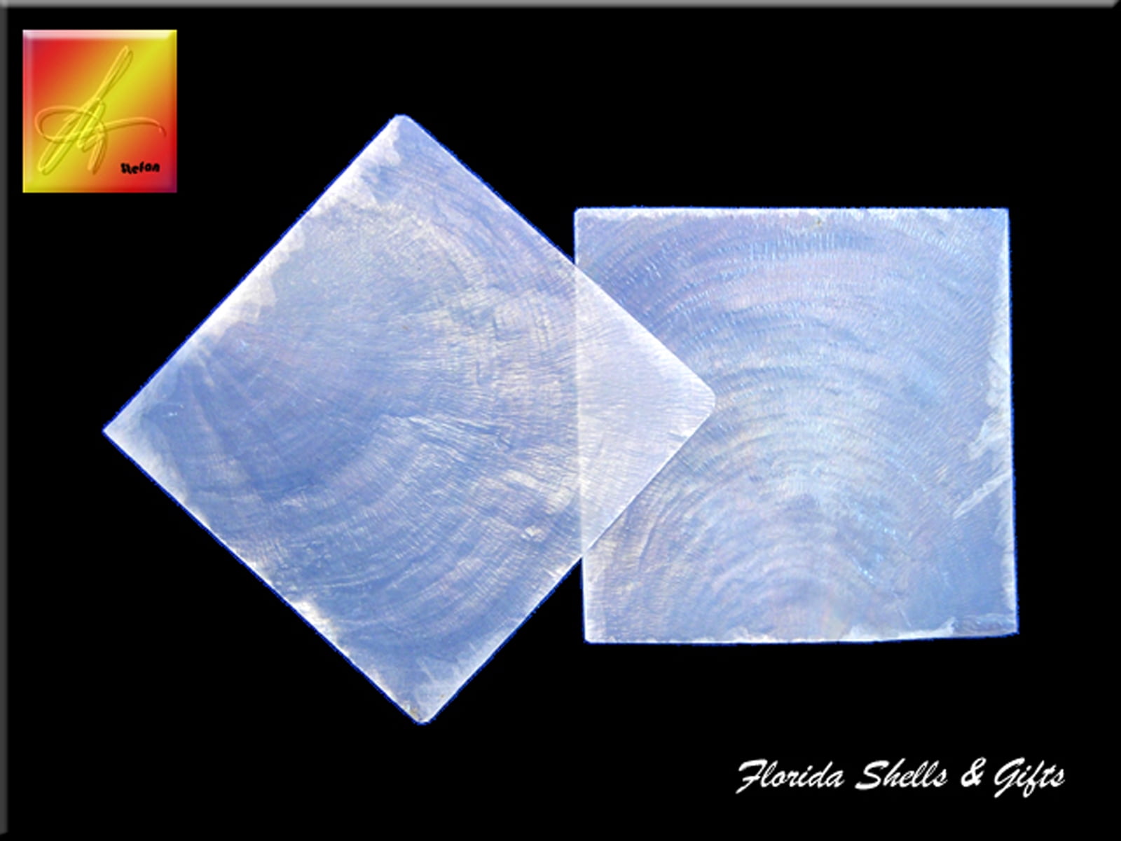 100 Capiz Shells White Square Cut (2