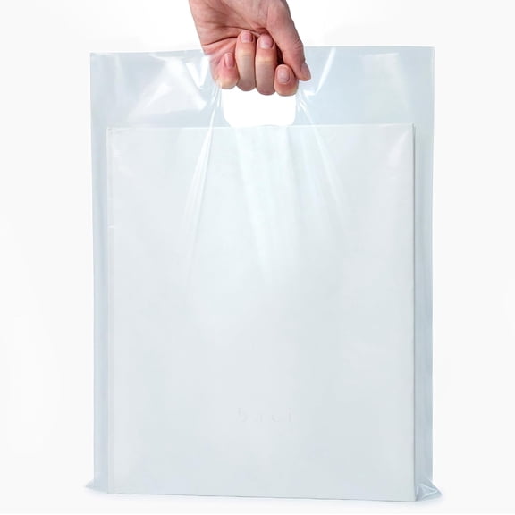 Shop Clear Plastic Bags with Handles for Office and Storage Needs