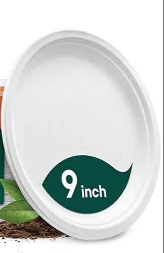 100% Compostable Paper Plates, Heavy Duty Disposable Plates [125-Pack] 9 Inch Plates - Eco-Friendly, Biodegradable Sugarcane Bagasse, Natural White 9" Sturdy Dinner Paper Plate Disposable