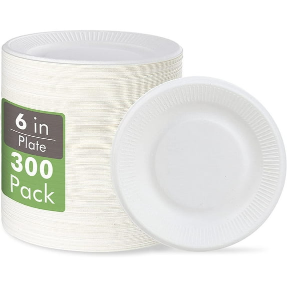 100% Compostable Small Paper Plates 300 Pack 6 Inch Disposable Paper Plates Uncoated Biodegradable Made of Sugar Cane Fibers Perfect for Sandwich Cake and Snack