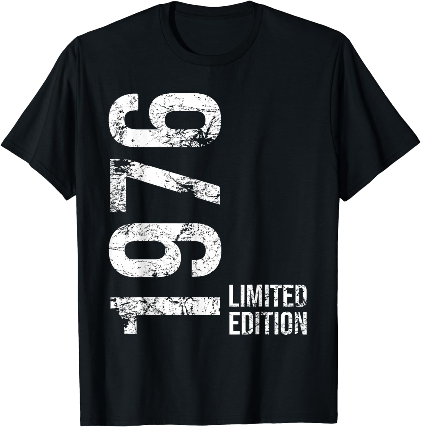 100 Cotton 48th Birthday 48 Years Old Man Woman Vintage 1976 TShirt