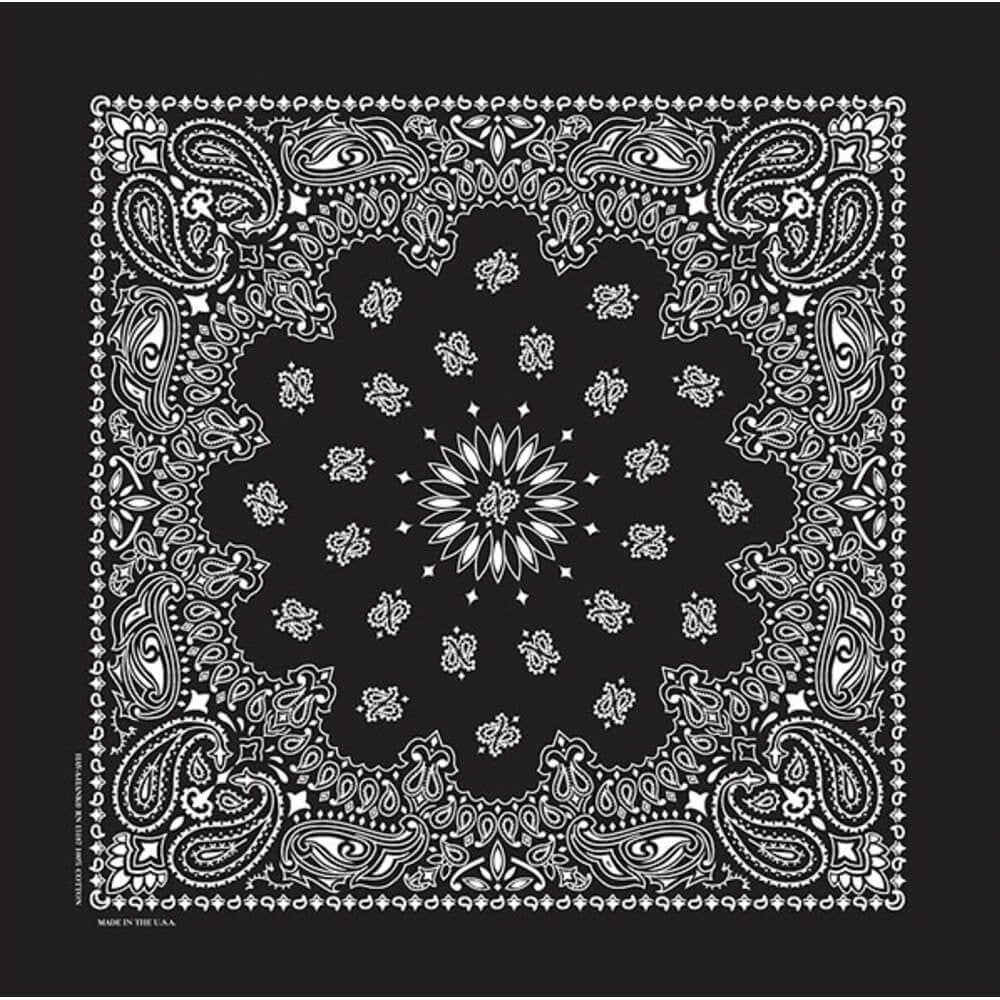 PAISLEY PRINT WITH BORDER LINE BOHO LONG KIMONO – Riah Fashion