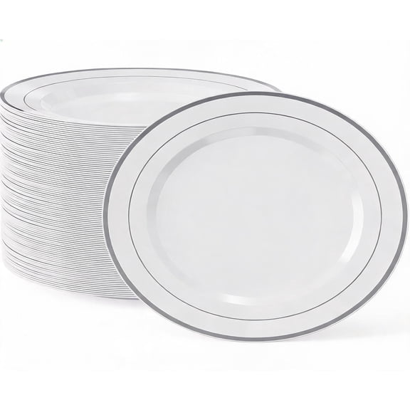 100 Count 10 Inch Silver Rim Disposable Plastic Plates