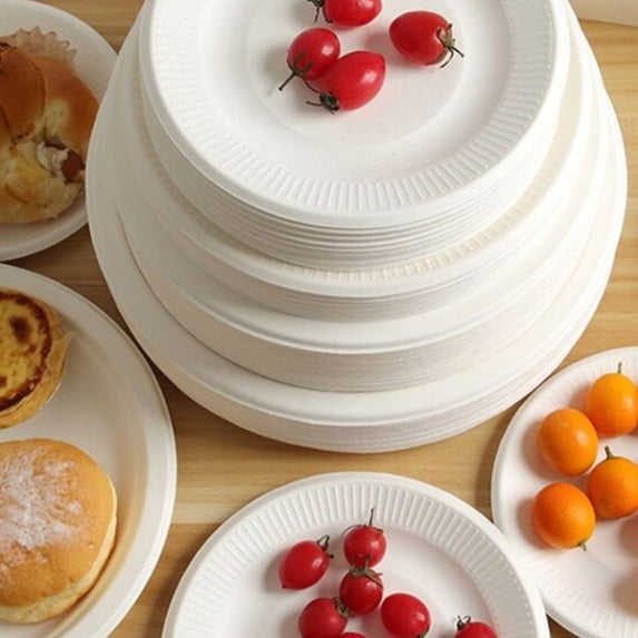 100 Count 6 Inch Disposable Paper Trays, Environmentally Friendly Disposable Plates, 100 Pack For Everyday Meals Parties And Outdoor Events