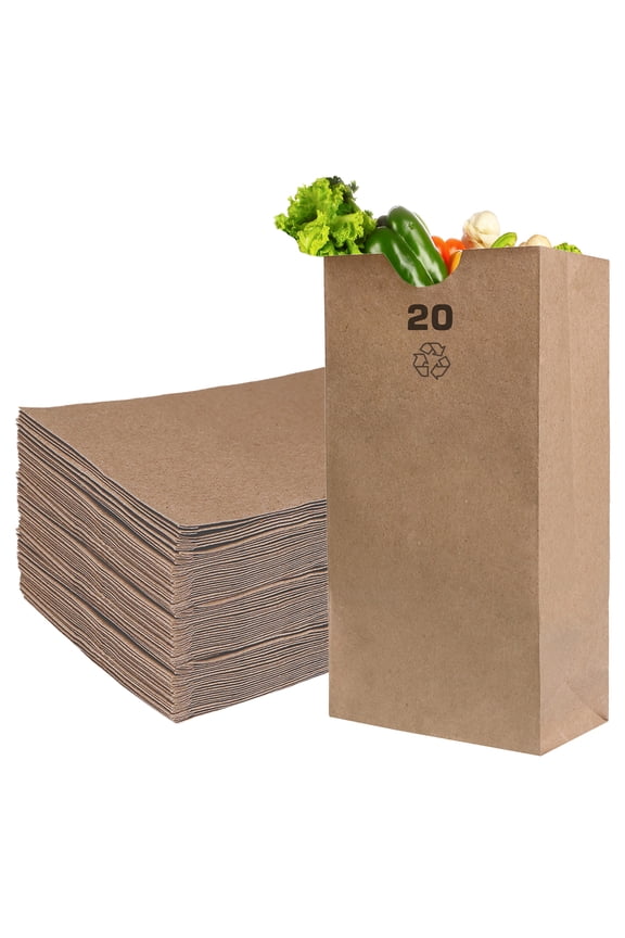 [100 Count] Large Brown Kraft Paper Bag (20 lb) - Paper Lunch Bags, Snacks, Gift Bags, Grocery, Merchandise, Party Bags (8 x 5.5 x 16 in) (20 Pound Capacity) by EcoQuality