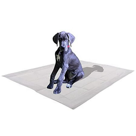 100 Count Ultra Absorbent - Leak-Proof Pee Pads for Dogs Rabbits and Cats (5 Layers) with Pheromone Attractant Scent to Improve Potty Training Success - Large - 24" x 35"