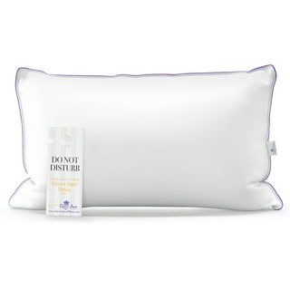 Down Pillow  Westin Hotel Store