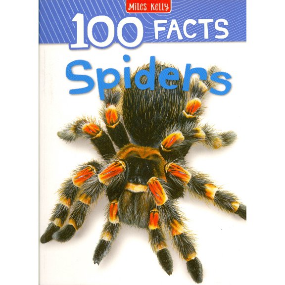 100 Facts Spiders Camilla de la Bdoyre (Paperback)