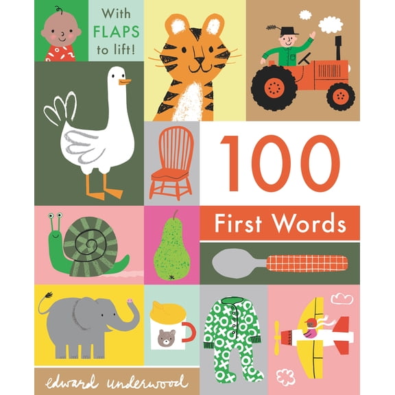 Pre-Owned 100 First Words: With Flaps to Lift (Board book) 1536208221 9781536208221