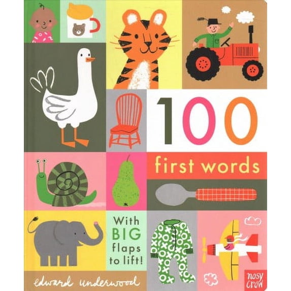 100 First Words (Hardcover) by Edward Underwood