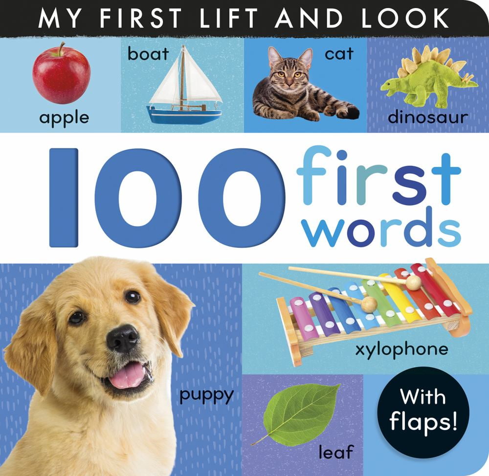 100 First Words: My First Lift and Look (with Flaps) (Board Book ...