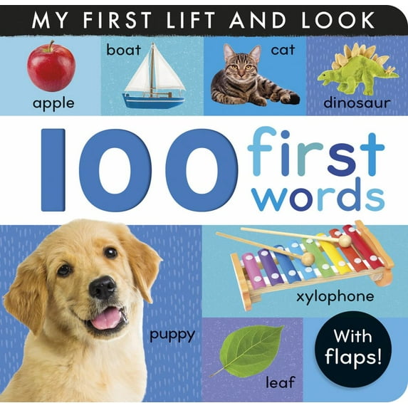 100 First Words: My First Lift and Look (with Flaps) (Board Book)