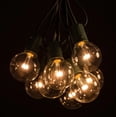 thumbnail image 1 of 100 Foot G50 LED Warm White String Lights with Green Wire, 1 of 8