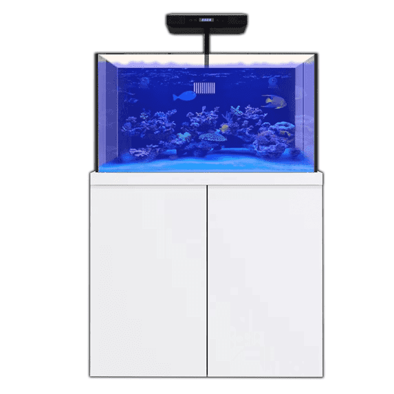 AquaDream 100 Gallon White All-in-One Coral Reef Aquarium Kit with Ultra-Clear Tempered Glass, Built-in Sump & LED Coral Light | Complete Setup