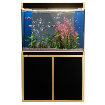 100 Gallon Tempered Glass Aquarium Fish Tank Black with Gold Trim