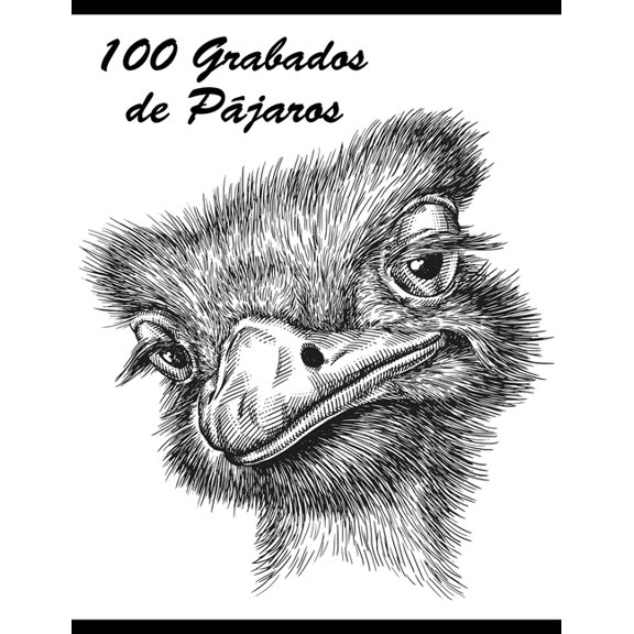 100 Grabados de Pjaros, (Paperback)