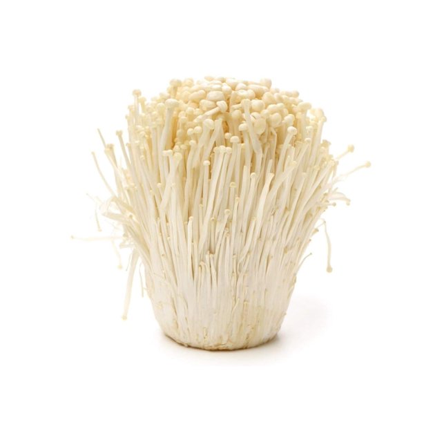 100 Grams of Enoki Mushroom Mycelium to Grow Gourmet and Medicinal