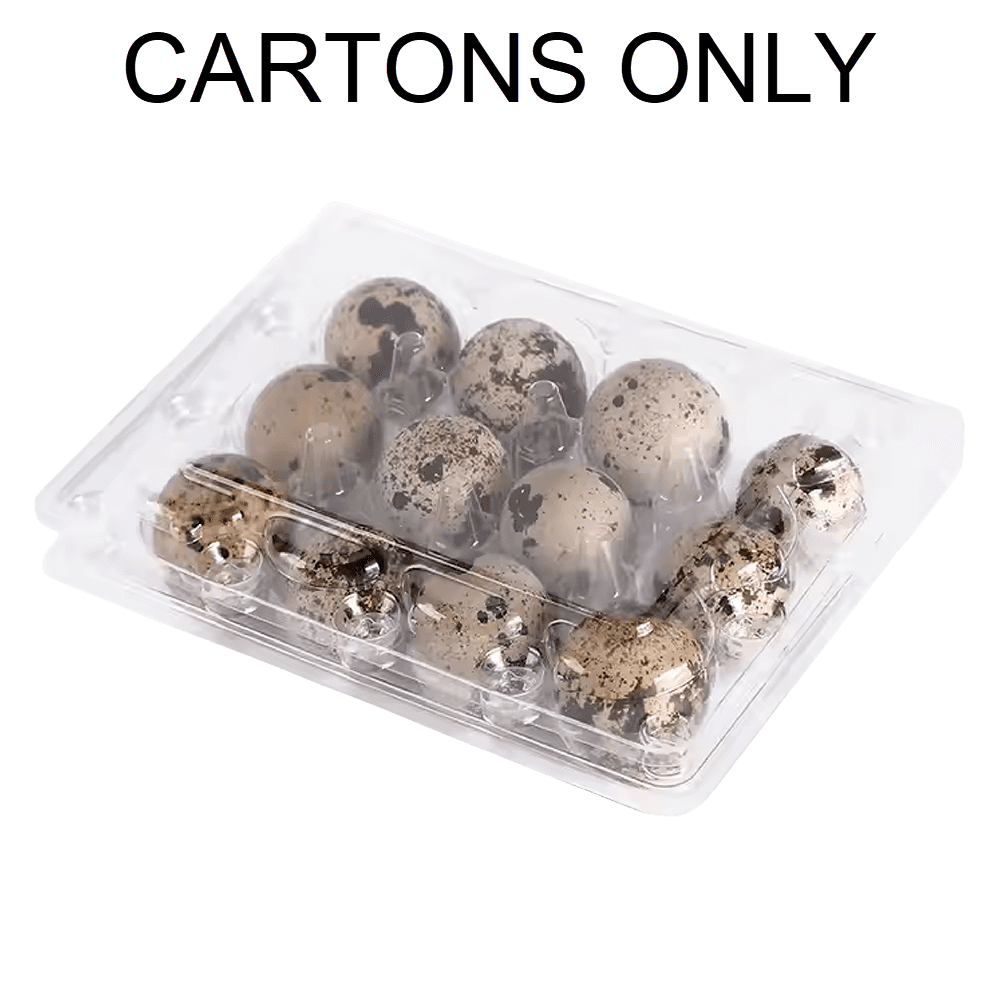 100 Jumbo Quail Egg Cartons for Coturnix Bobwhite Quail One Dozen
