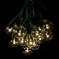 thumbnail image 1 of G40 LED Warm White String Lights with Green Wire, 1 of 7