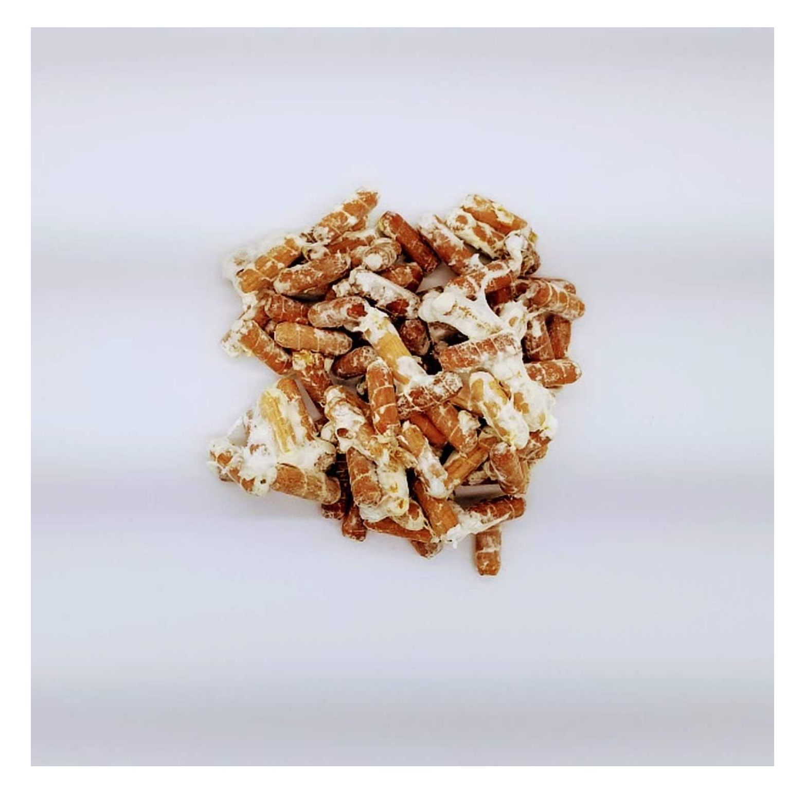 100 Maitake Mushroom Plugs to Grow Gourmet and Medicinal Mushrooms or commercially.