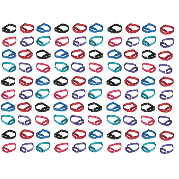 100 Martingale Dog Collar Bulk Packs Vet Shelter Rescue Trainer Assorted Colors (Small - 10 to 16 Inch)