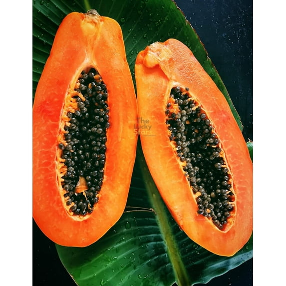 100 Mexican Papaya Seeds - Hat Du Du - Carica Papaya Seeds, Papaya, Pawpaw, Asimina triloba | Non GMO | Organic | Heirloom E11