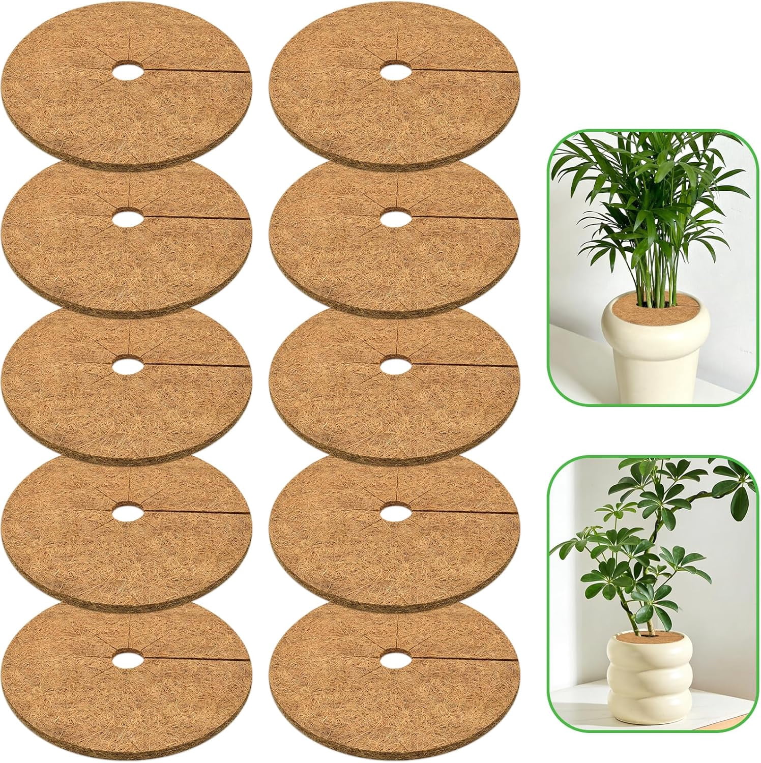 100% Natural Coconut Coir Discs Tree Mats Mulch Rings, 6 Pack 24 Inch ...