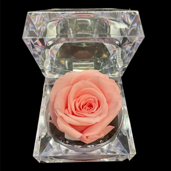 100% Natural Genuine Preserved Roses, Handcrafted Preserved Colombian Flowers with Natural Rose Scent, Perfect for Valentines, Birthday, Anniversary, No Need for Watering. (Pink)