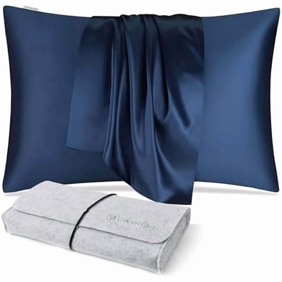 100% Natural Mulberry Silk Pillow case for Hair and Skin with Hidden Zipper 22 Momme Both Sides Real Silk Pillow Case (1pc 51x66cm, Blue)