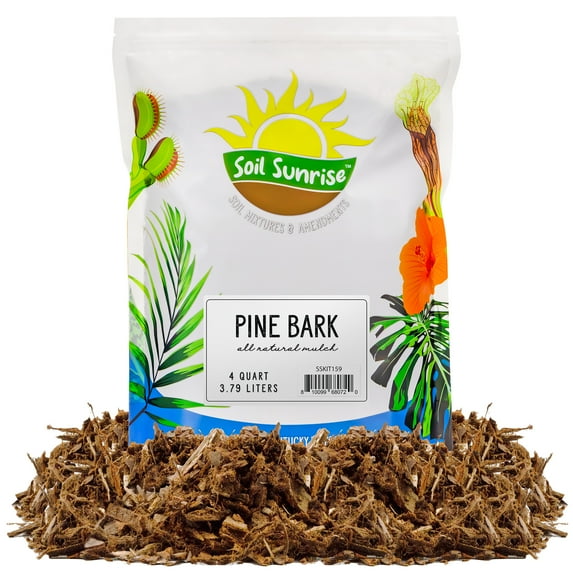 100% Natural Pine Bark Mulch Nuggets (4 Quarts), Small Mulch Chips for Indoor/Outdoor Container Gardening, Ideal for Soil Supplement, Houseplant Mulch, and Terrariums