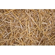 100% Natural Wheat Straw for Animal Bedding, Garden Mulch, Compost & Fertilizer, and Grass Cover 12 Ounces