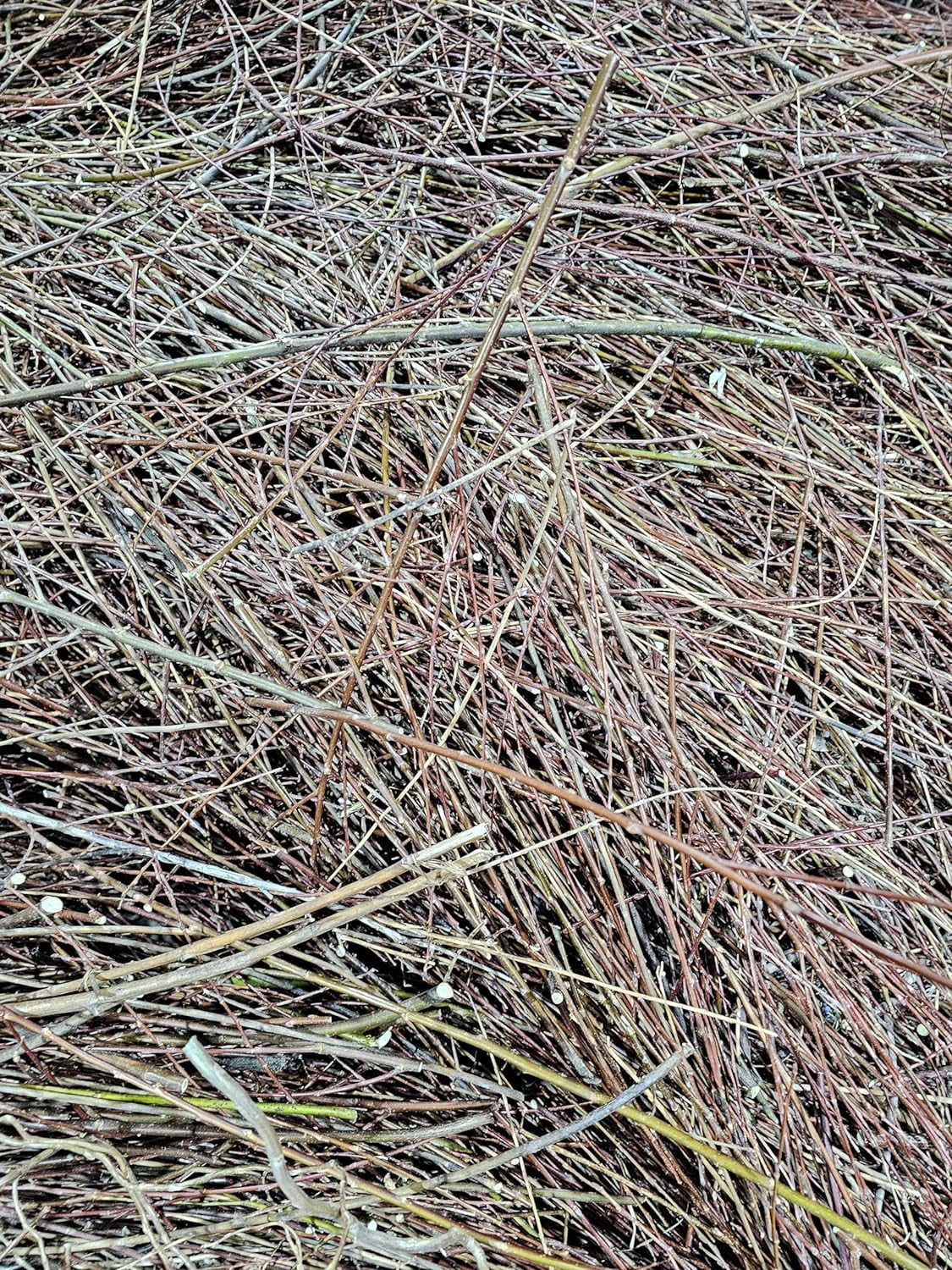 100 Natural Willow Tree Straw Mulch, Animal Bedding (5 Pounds