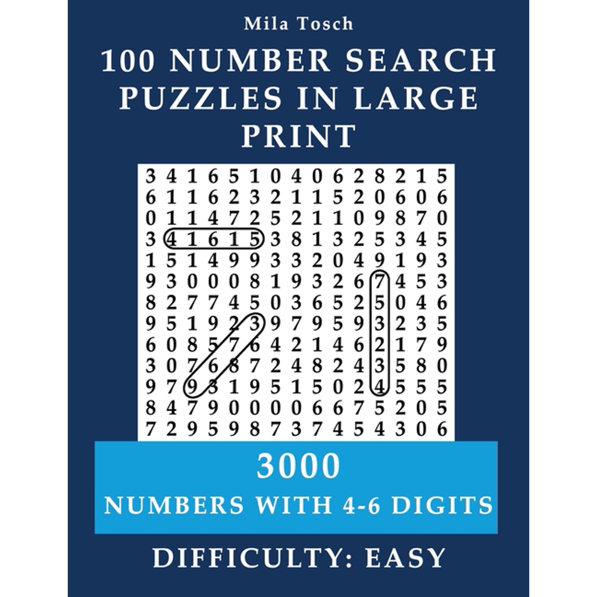 Number Tracing 1 100 Large Print