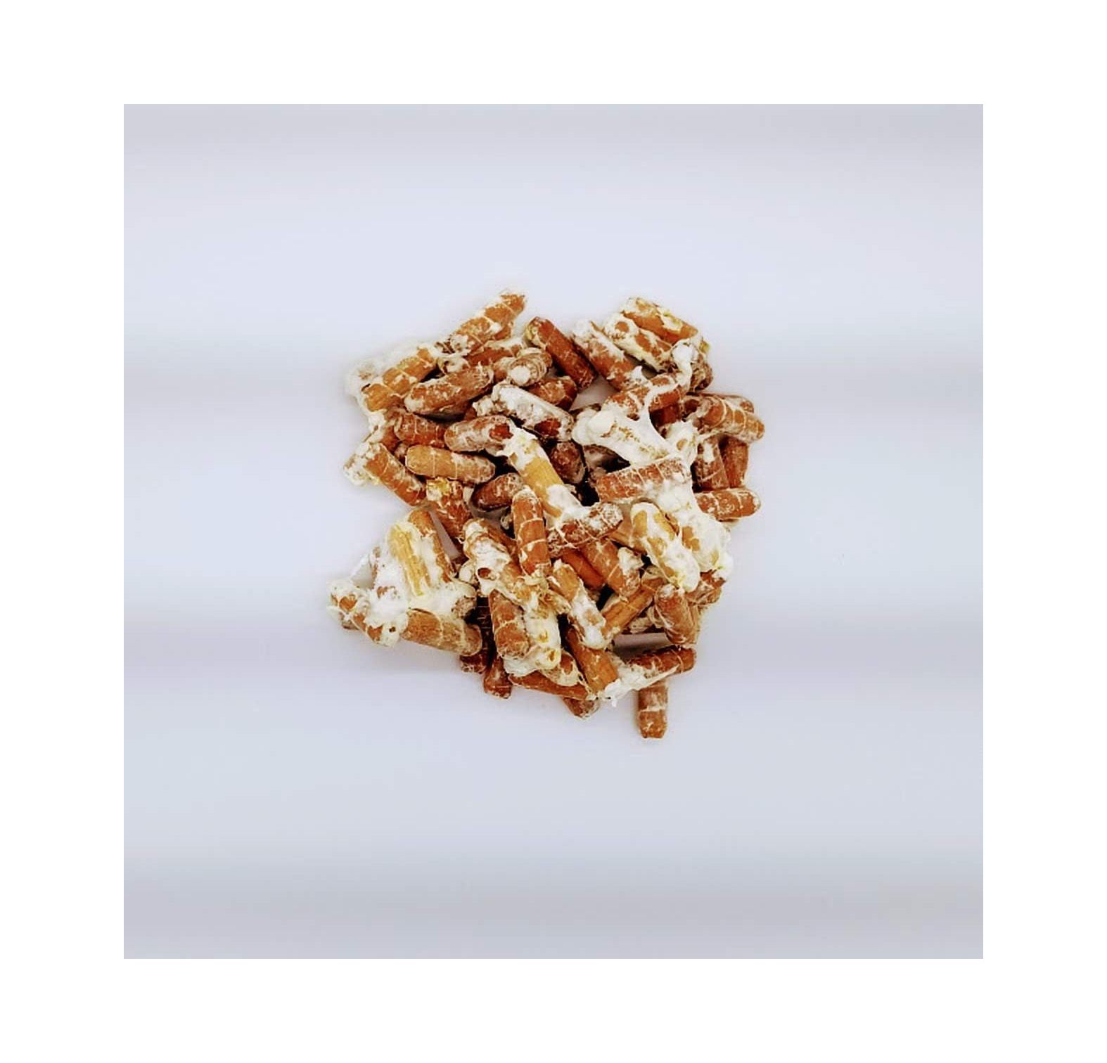 100 Oyster Mushroom Plugs to Grow Gourmet Mushrooms on Logs or Stumps