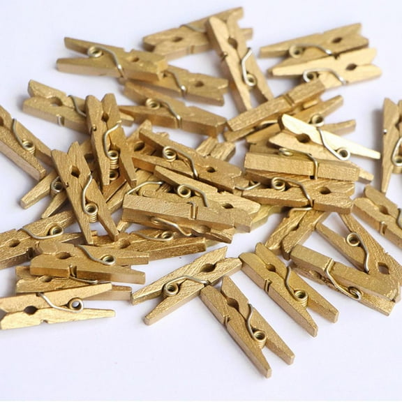 100 PCS Mini Wooden Clothespins, Clothes pins Photo Paper Pin Craft Clips for Home School Arts Crafts Decor, 1 Inch