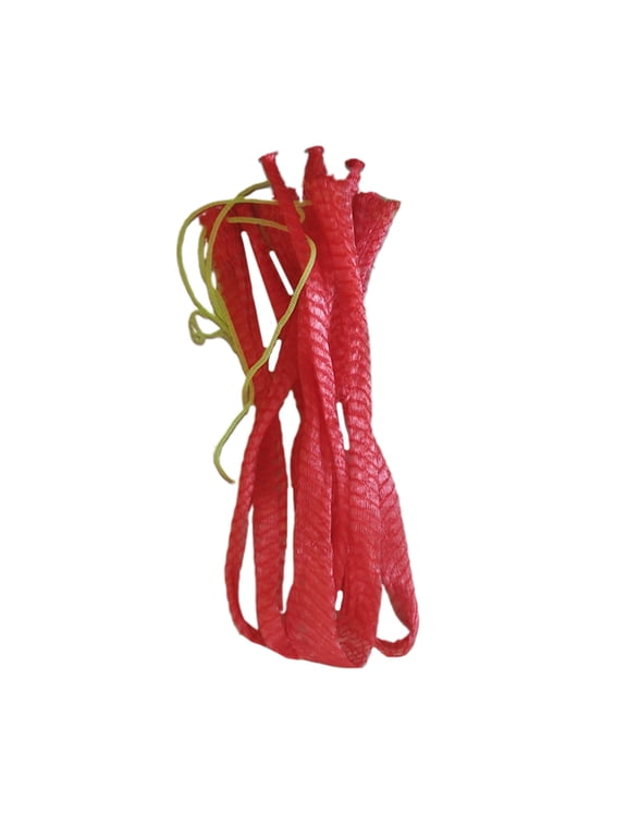 100Pcs Red Mesh Net Bag for Outdoor Shopping and Storage