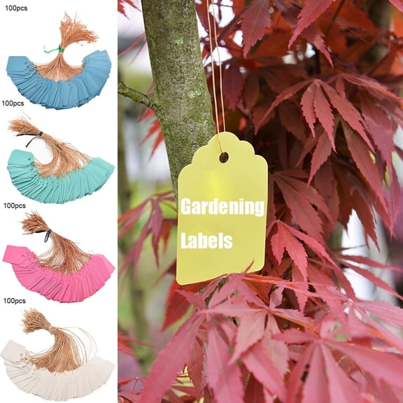 100 PCS Plastic Plant Labels, Premium Hanging Plant Tags, Vegetable Seeds for Gardening Outdoors Signs, Supplies for Florist Planting Indoor