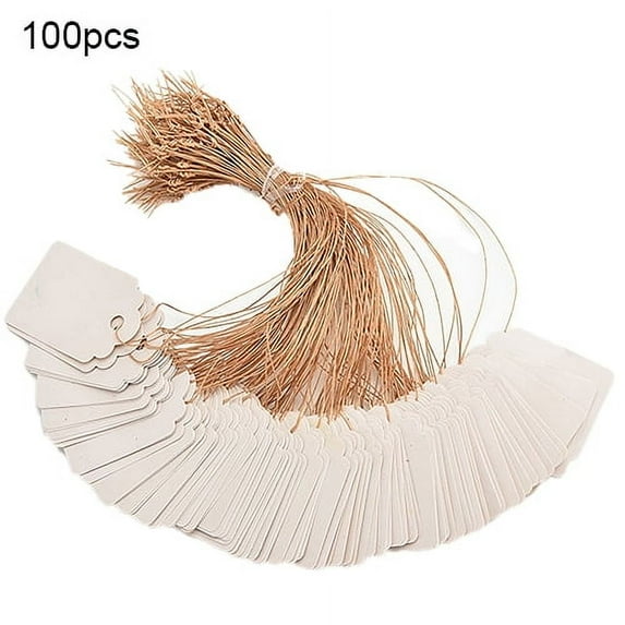 100 PCS Plastic Plant Labels, Waterproof Plant Tags Markers Colorful Nursery Garden Labels Plant Marking Tags Hanging Tags with String Price Tags for Pots, Herbs, Flower