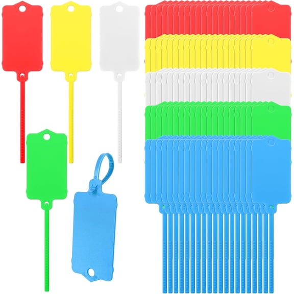 100 PCS Plastic Shipping Tags,1.46" x 2.48", Waterproof Labels Writable Hanging Tag with Sealing Strap,Shipping Cable Tie Label Tags for Keys Luggage Logistic Retail Inventory(Multicolored)