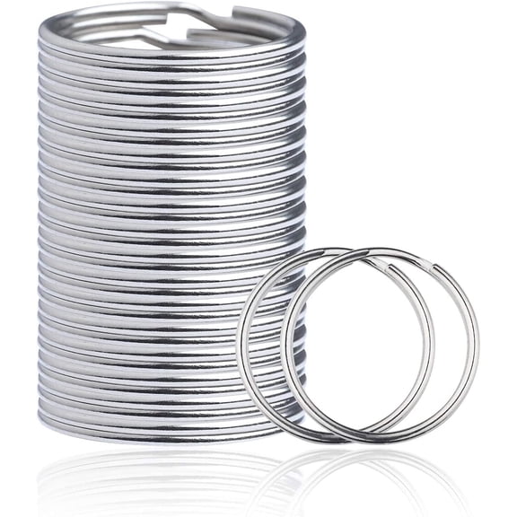 100 PCS Round Key Rings,Sturdy Nickel Plated Metal O Rings Split Keychain Rings for Home Office Car Keys Organized (Silver,1 Inch) (100)