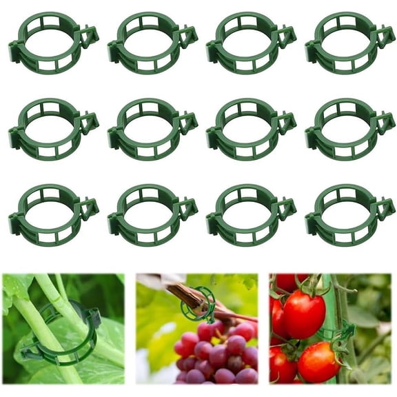 100 PCS Secured Plastic Plant Clip, Reusable Trellis Clips for Tomato Grape Vine Vegetables, 25mm Diameter