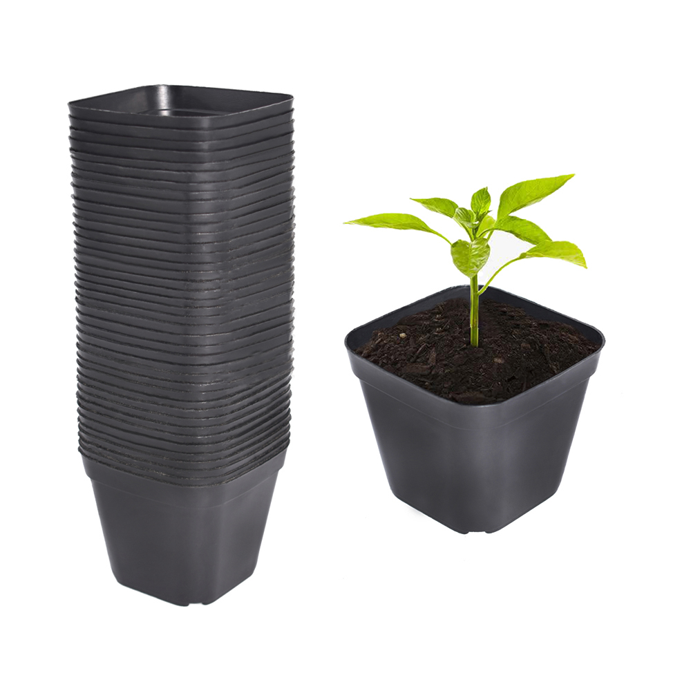 100 PCS Square Plastic Plant Nursery Pots, Seedling Flower Plant Container and Seed Starting Pots, Flower Plant Container for Succulents, Seedlings, Cuttings, Transplanting