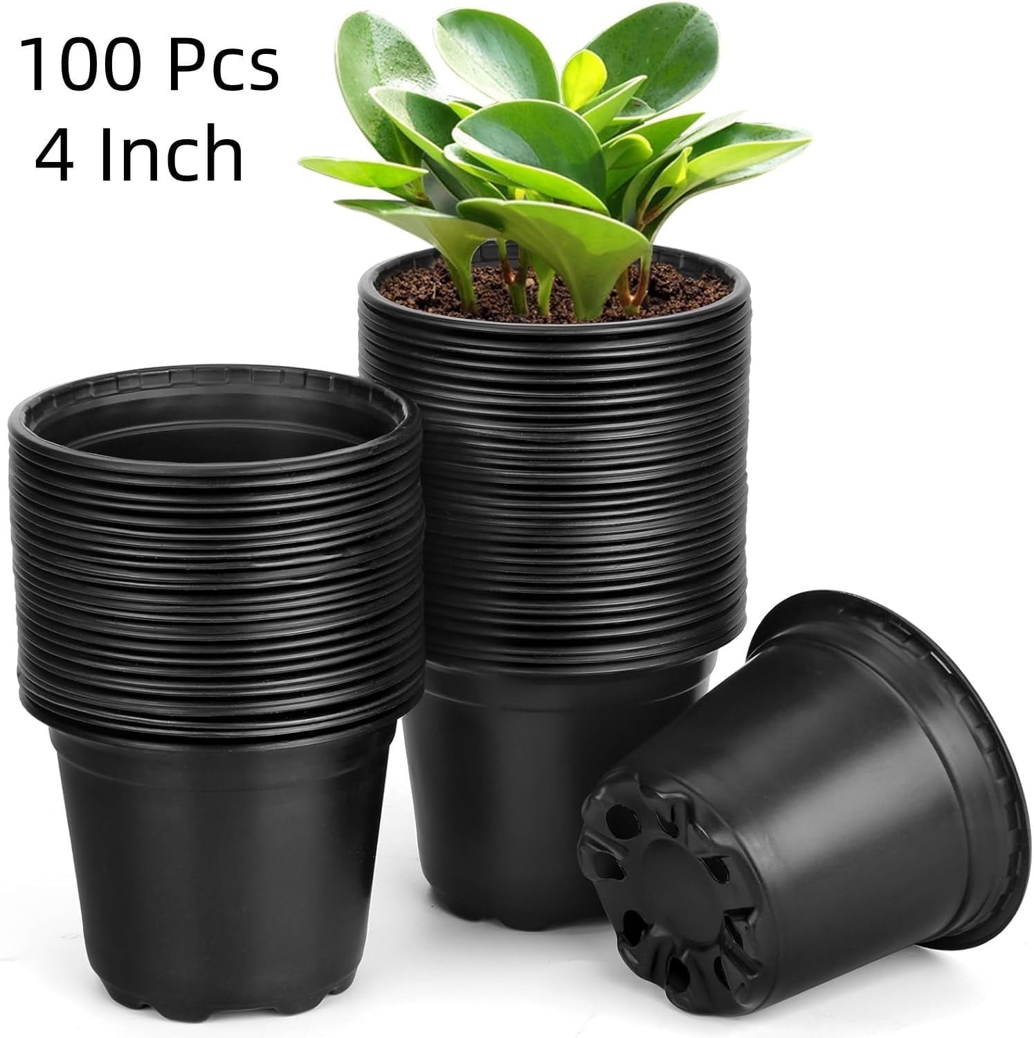100 Pack 4 Inch Manss Nursery Pots for Plants, Plastic Seeds Starter ...