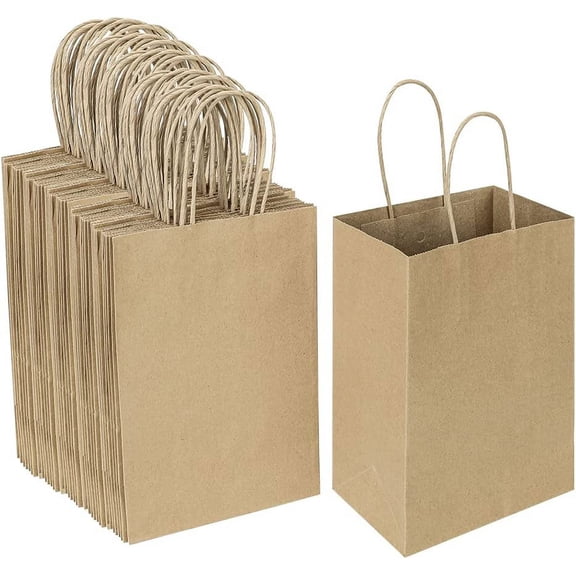 100 Pack 5.25x3.25x8.25 Inch Small Plain Natural Kraft Paper Gift Bags with Handles Bulk for Birthday Party Favors Grocery Retail Shopping Business Goody Craft Bags Cub Sacks (Brown 100 Count)