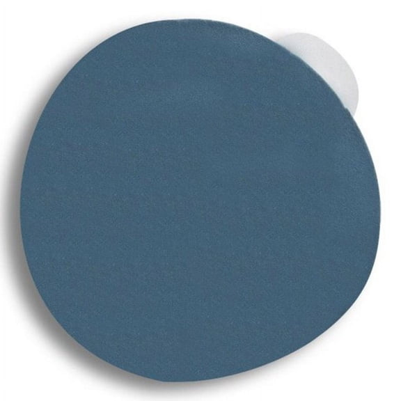 100 Pack 5 in W x 5 in L 180 Grit No Hole Disc on Roll PSA Sanding Disc