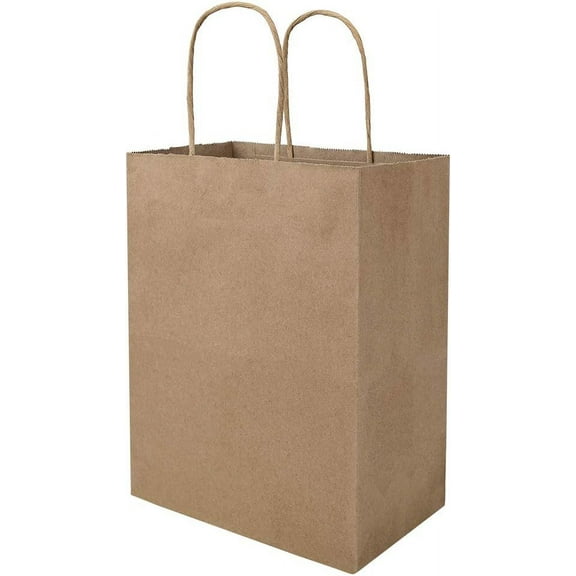 100 Pack 8x4.75x10 Inch Plain Medium Paper Bags with Handles Bulk, Brown  Craft  Bags, Grocery Shopping Retail Birthday Party Favors Wedding Sacks ( Brown, 100 count)