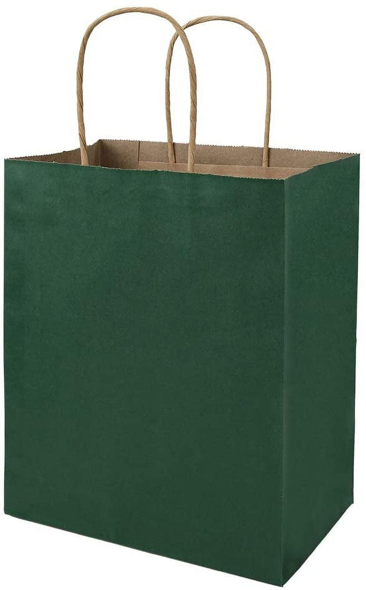 10 White Kraft Paper Gift Bags, Party Favor Bags with Flat Handles,  8x4.75x10.5