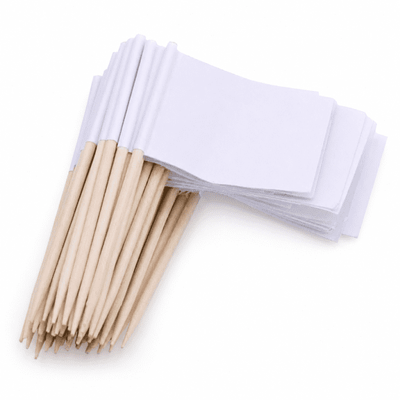 100 Pack Blank Mini Toothpick Flags Cake Cupcake Toppers Burger Markers